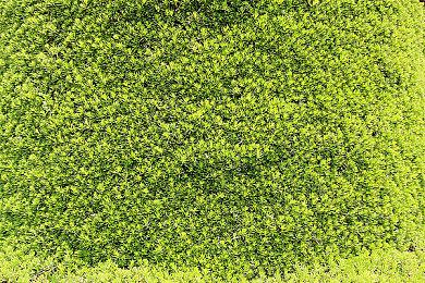 NS与Wii生涯同期销量对比 老任新机领先千万销量